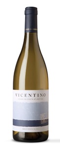 Vicentino Sauvignon Blanc 2015